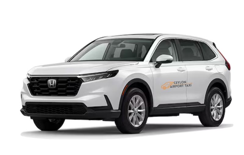 SUV (Compact Crossover)